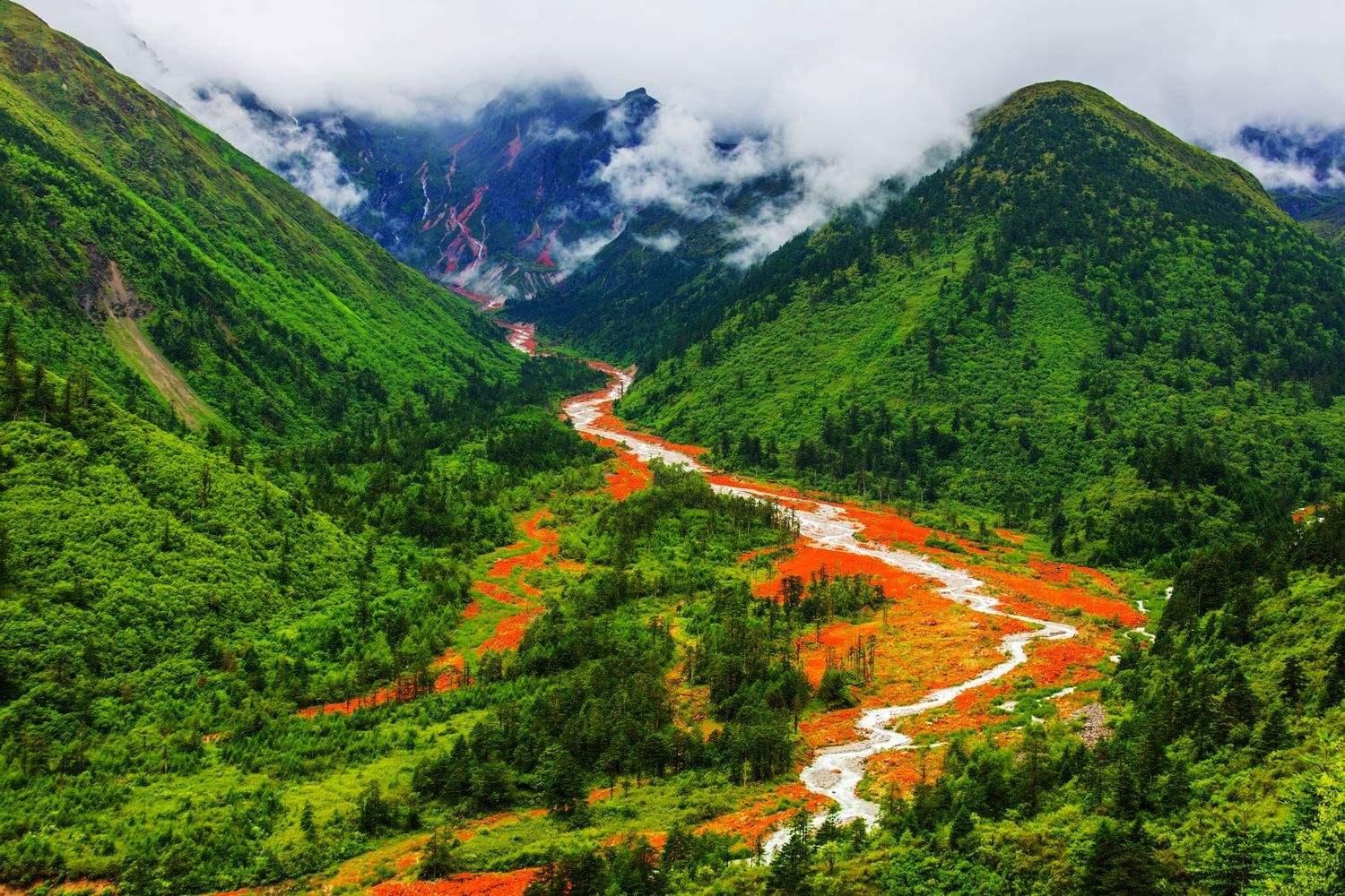 四川，山水画卷中的生态奇迹与人文情怀之地