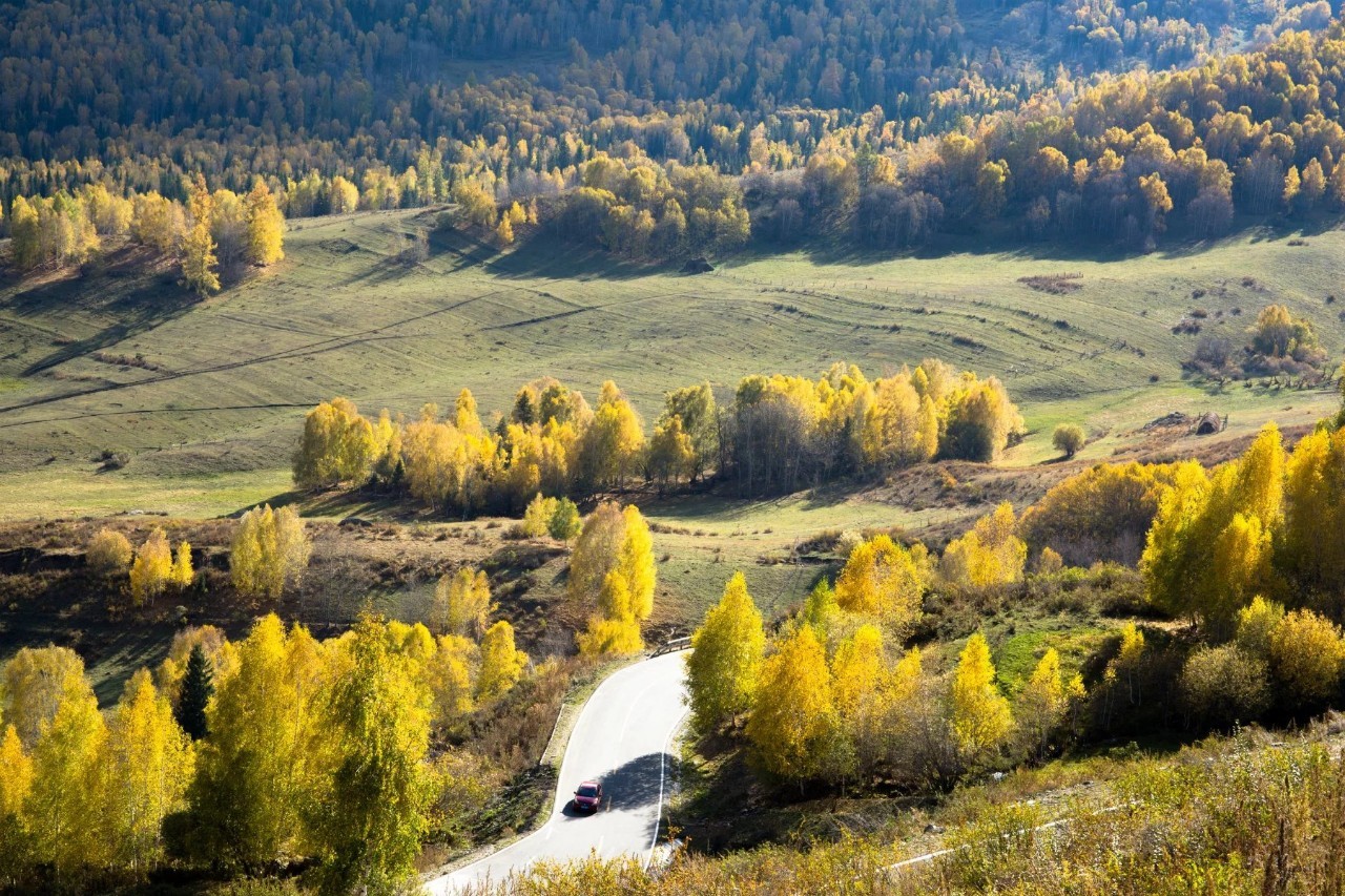 探寻新疆传奇，作家笔下的神秘土地之旅