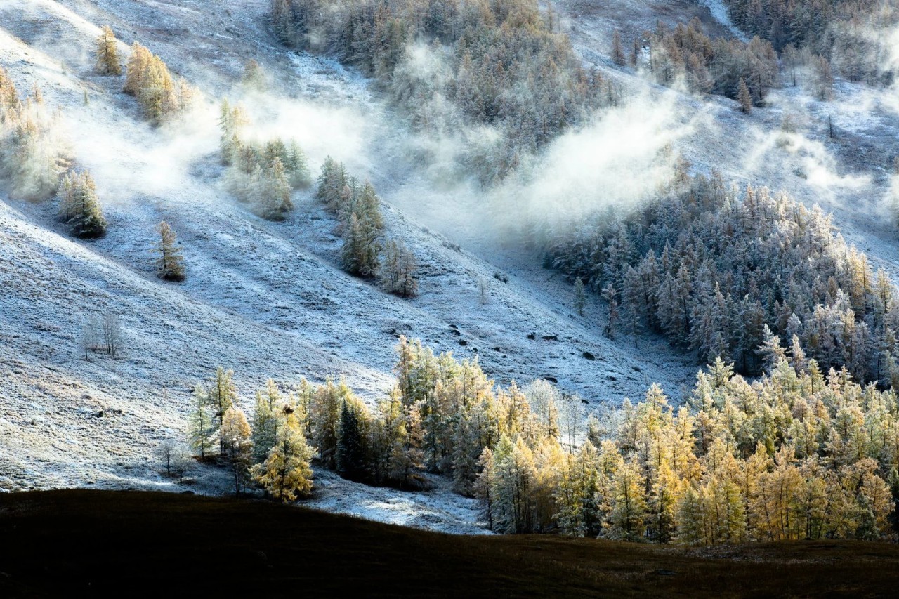 探寻新疆传奇,作家笔下的神秘土地之旅